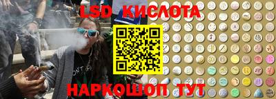 прущие грибы Вязьма