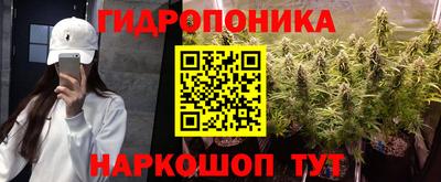 прущие грибы Вязьма