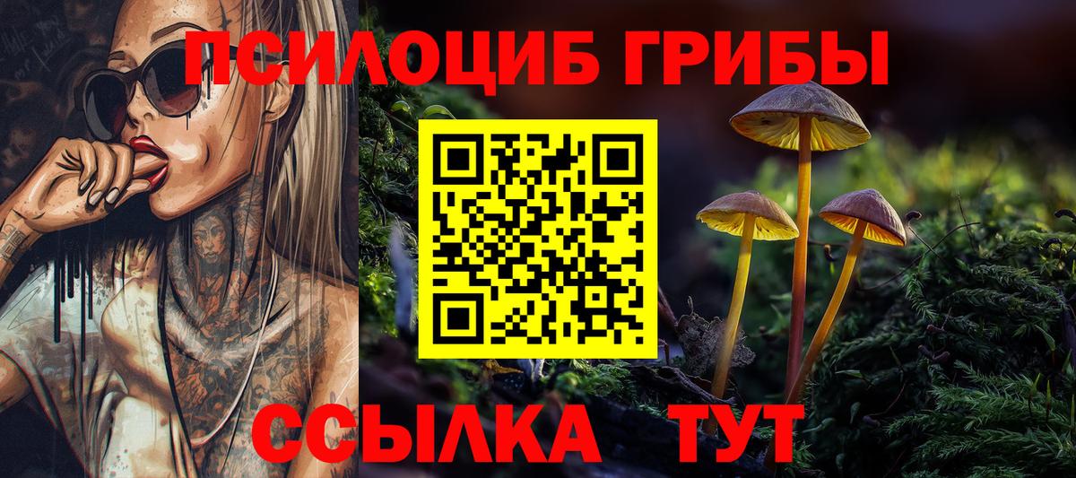 Галлюциногенные грибы Magic Shrooms Выкса